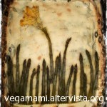 http://labottegadimimi.blogspot.it/2012/11/torta-salata-floreale.html