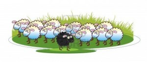 pecore; fonte: http://us.123rf.com